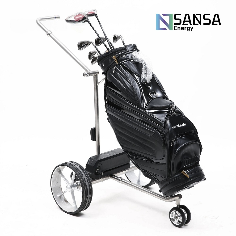 Carrito de Golf Electrico modelo Columbus 1