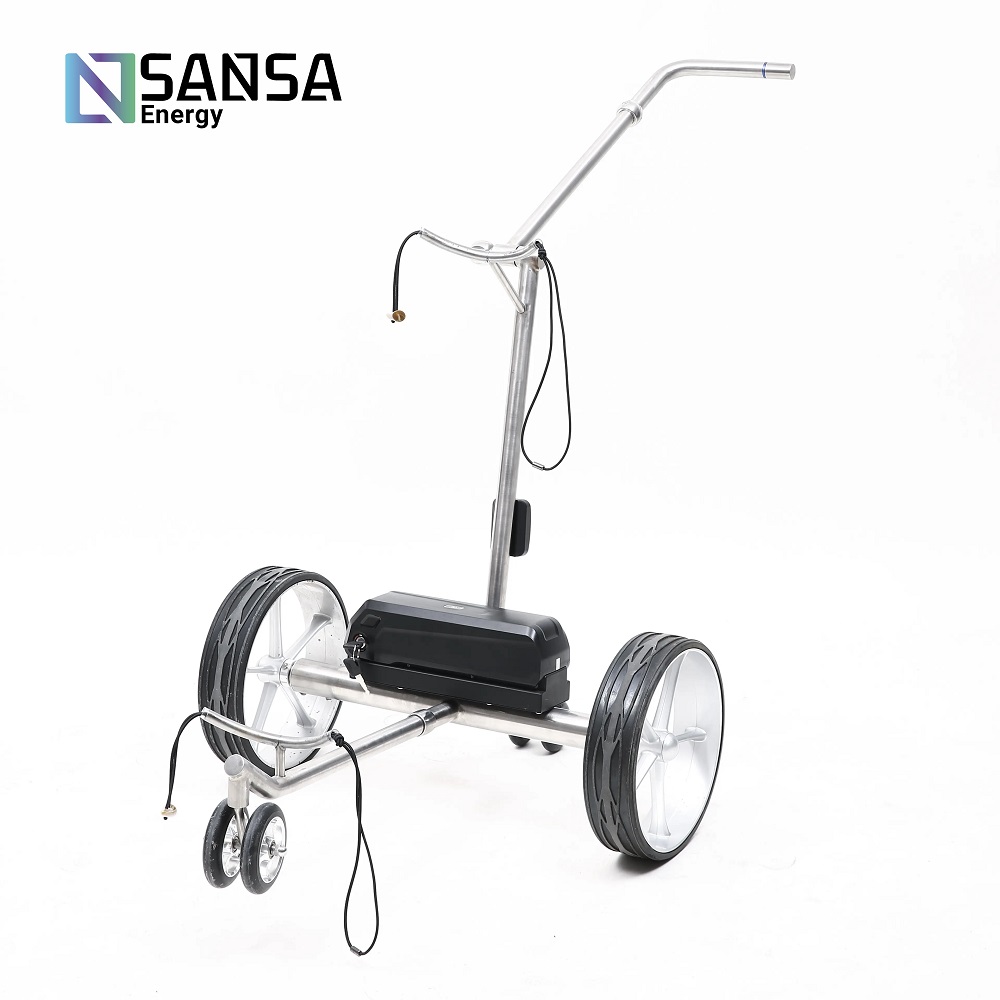 Carrito de Golf Electrico modelo Columbus 2 4