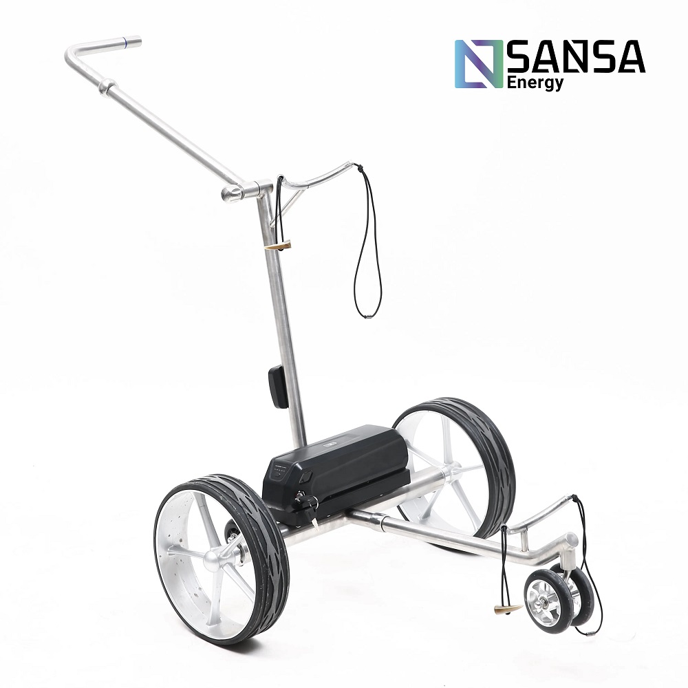 Carrito de Golf Electrico modelo Columbus 3 12