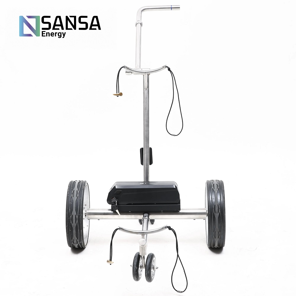 Carrito de Golf Electrico modelo Columbus 4 8