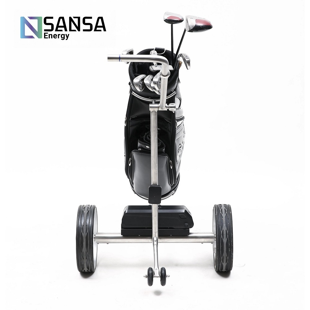 Carrito de Golf Electrico modelo Columbus 5