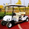 Coche Eléctrico de Golf SANSA modelo Langer 3500W - 10_9 Coche Electrico de Golf SANSA modelo Langer 3500W 10 9 1