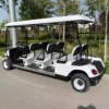 Coche Eléctrico de Golf SANSA modelo Langer 3500W - 21_20 Coche Electrico de Golf SANSA modelo Langer 3500W 21 20 1