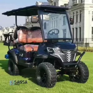 Coche de Golf SANSA Palmer 2+2 con Pack Premium GRATIS