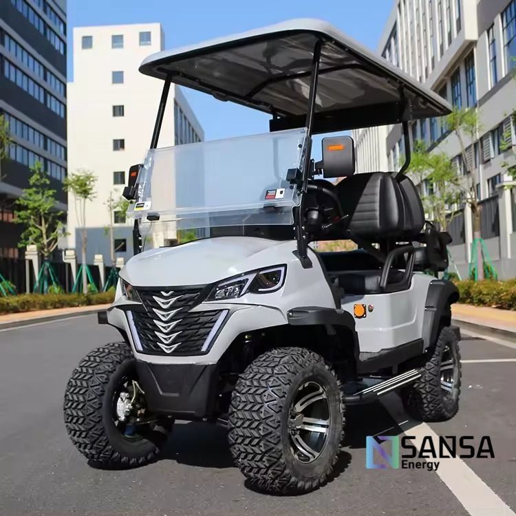 Coche de Golf SANSA Palmer 22 asientos 6