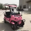 Coche de glof electrico de SANSA modelo Suggs 3500W - 1 Coche de glof electrico de SANSA modelo Suggs 3500W - 1