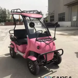 Coche de glof electrico de SANSA modelo Suggs 3500W - 1