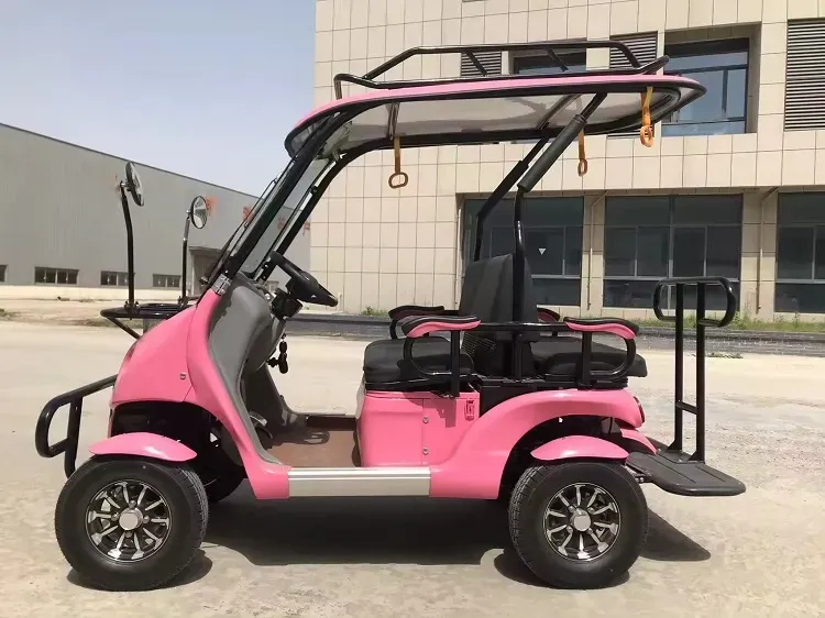 Datos Tecnicos del coche de glof electrico de SANSA modelo Suggs 3500W 16 Photoroom