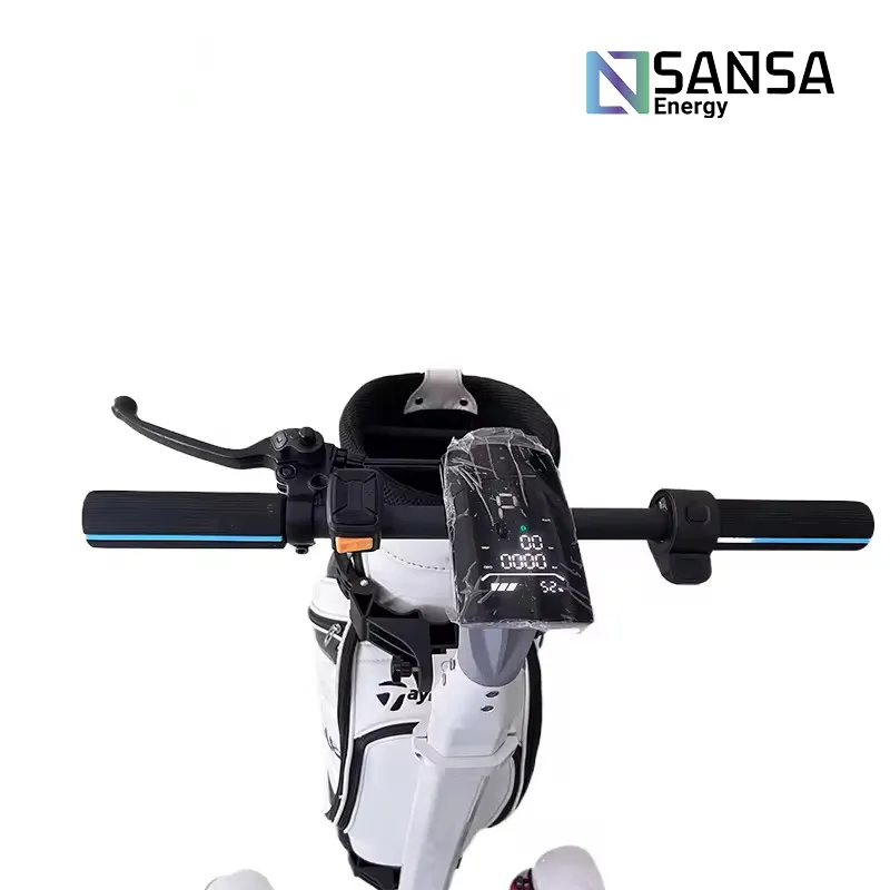 Foto Catalogo - Patinete electrico de Golf Modelo FALDO de la marca SANSA Energy - 12 Foto Catalogo Patinete electrico de Golf Modelo FALDO de la marca SANSA Energy 12