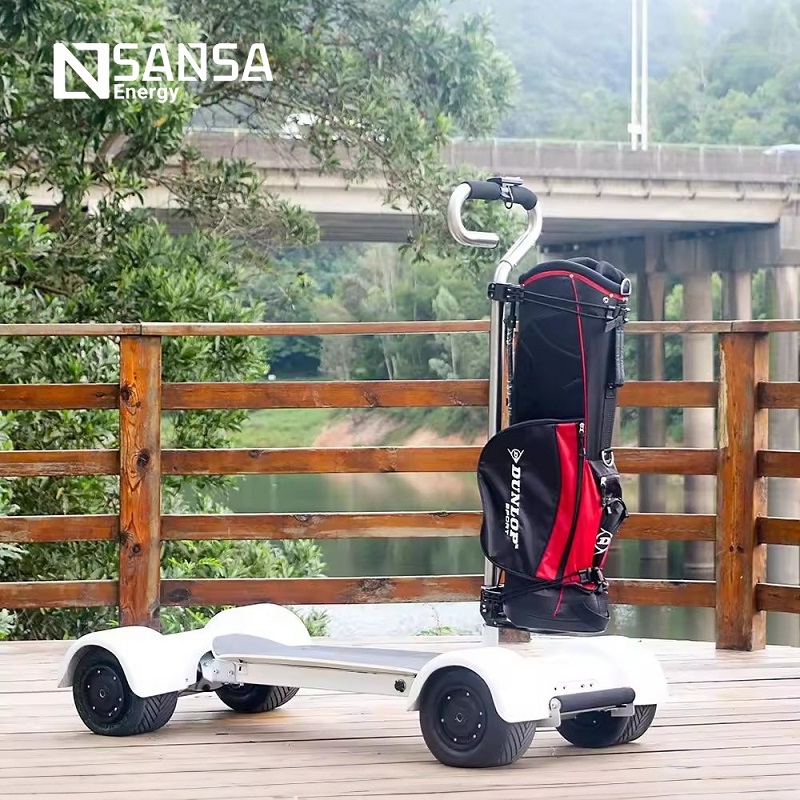 Patineta de Golf Modelo Ballesteros 10