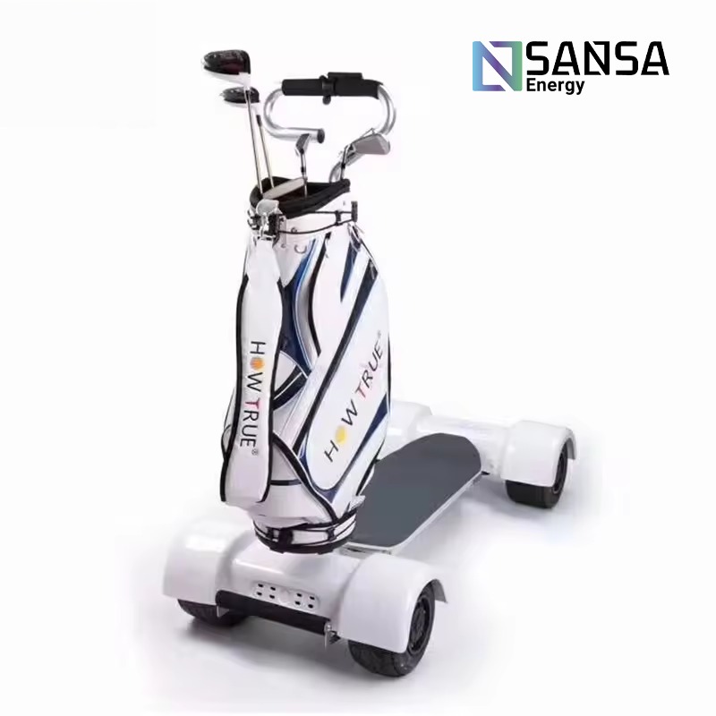 Patineta de Golf Modelo Ballesteros 2