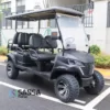 SANSA Golf Car Palmer 42 with FREE Premium Pack 11