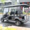 SANSA Golf Car Palmer 42 with FREE Premium Pack 12